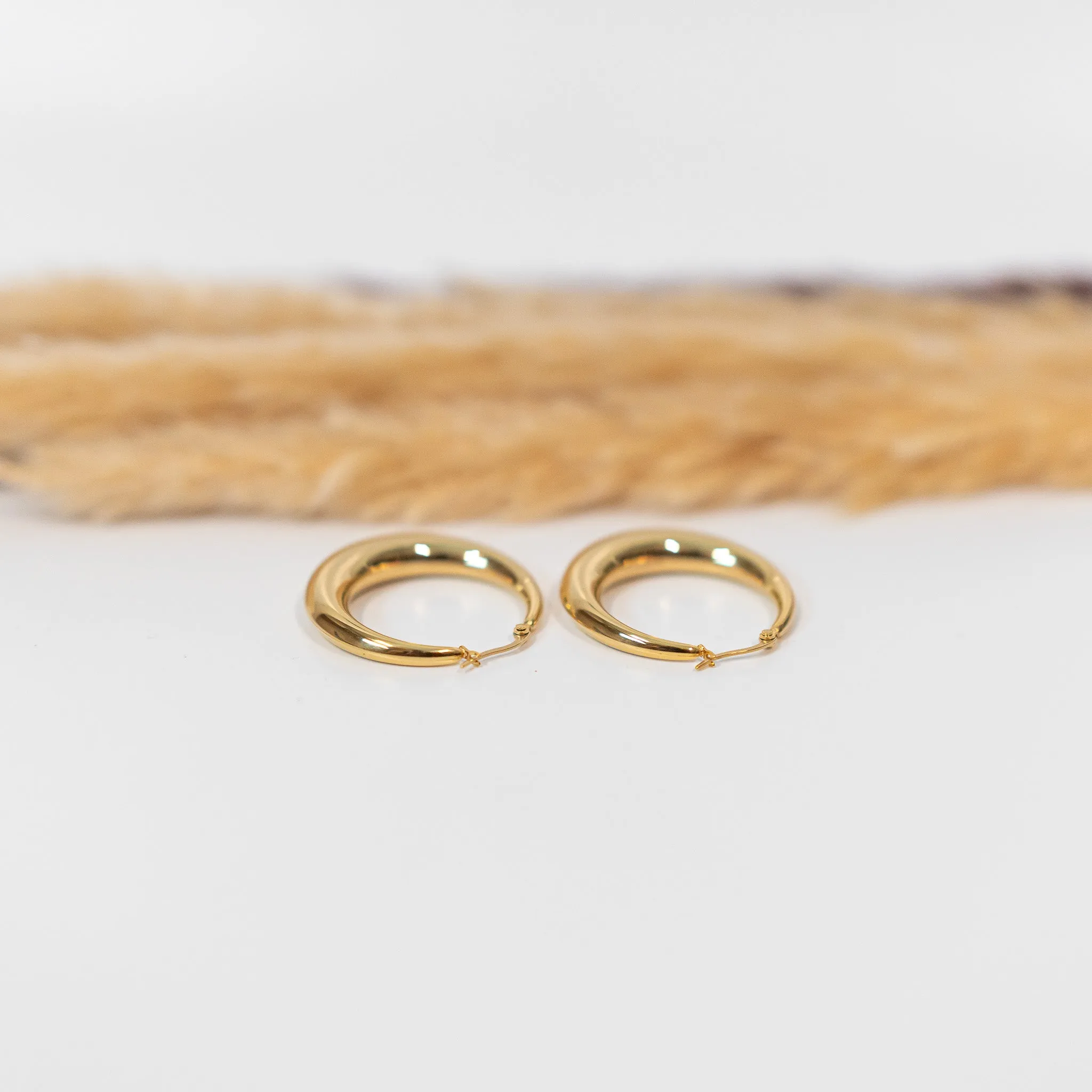 Crescent Hoop Earrings