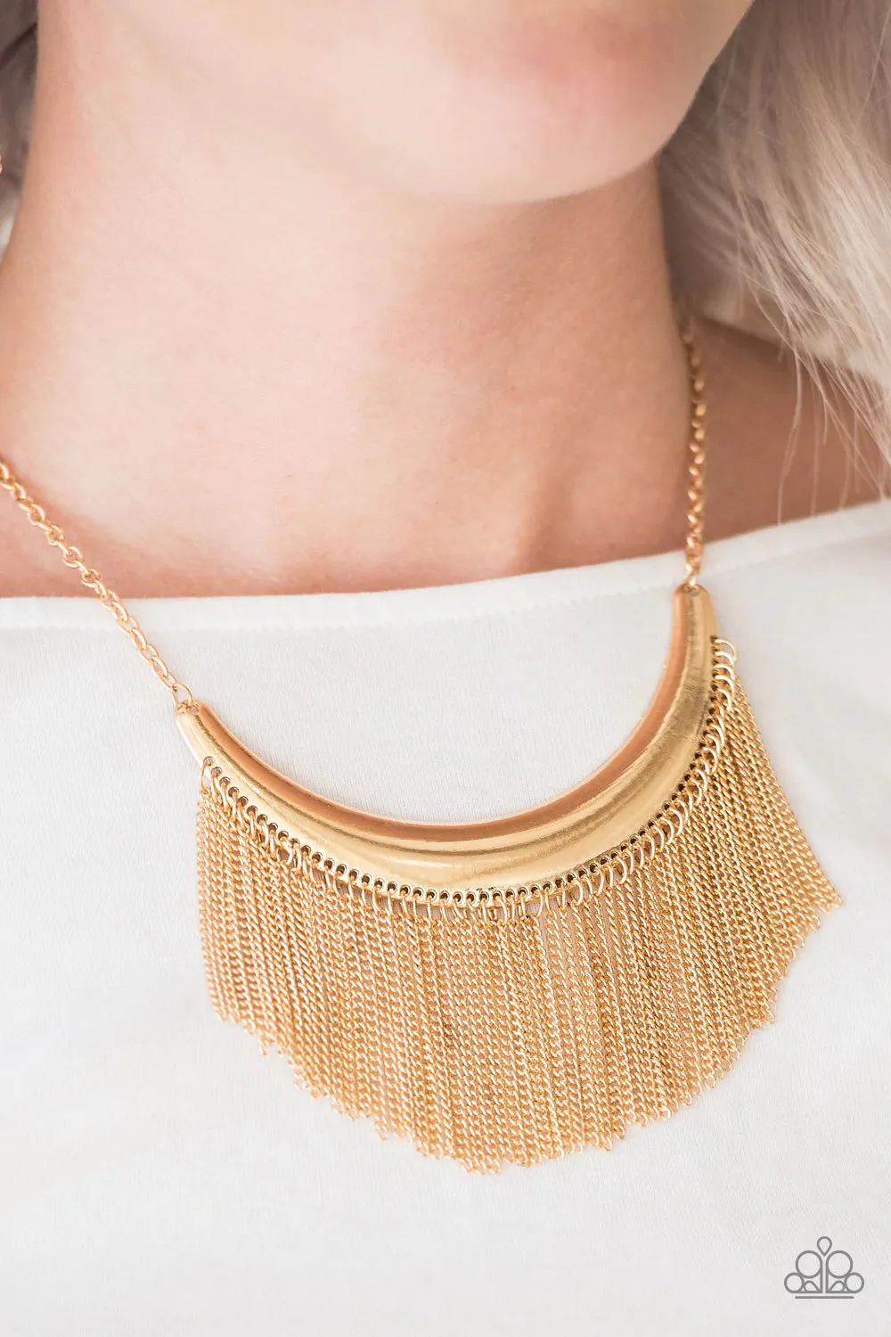 Paparazzi Accessories - Zoo Zone #N162 Peg- Gold Necklace